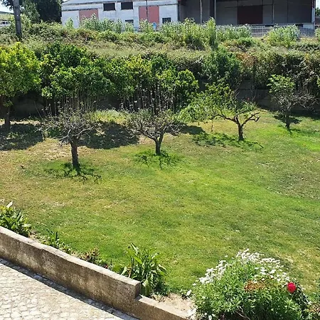 Cargal 4*